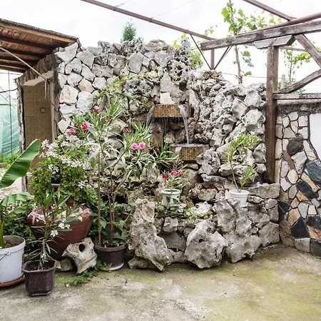 Детелина Guest house