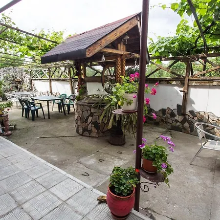 Детелина Guest house